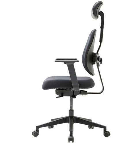 DUOREST Office Chairs [Special Promo] Gold Renewal Ergonomic Chair Ergoworks