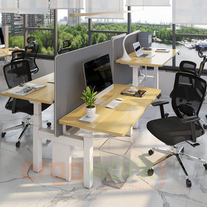 Ergoworks Dual Benching Electric Desk [Customizable] Dual Benching Electric Desk Ergoworks