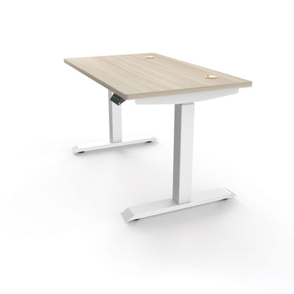 Ergoworks Electric Desk [Customizable] Signature Standing Desk, MFC Tabletop (White Frame Pre-Order) Ergoworks