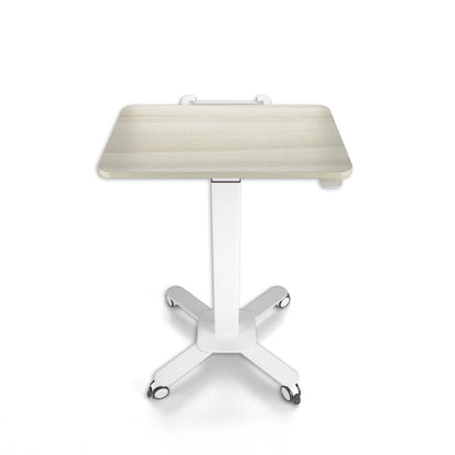 Ergoworks Mobile Single Pole Pneumatic Height Adjustable Desk Ergoworks