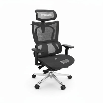 Ergoworks Office Chairs Black Frame/Black Mesh Truly Perfect Chair V2 Ergoworks