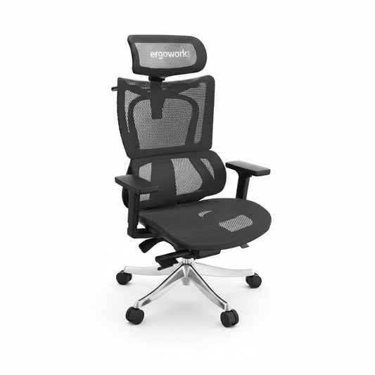 Ergoworks Office Chairs Black Frame/Black Mesh Truly Perfect Chair V2 Ergoworks