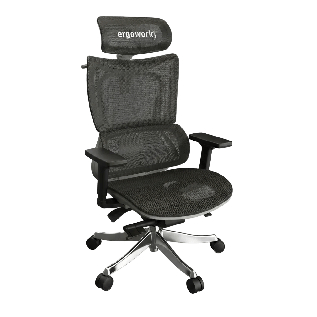 Ergoworks Office Chairs Grey Frame/Grey Mesh Truly Perfect Chair V2 Ergoworks
