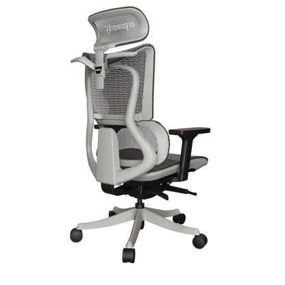 Ergoworks Office Chairs Truly Perfect Chair V2 Ergoworks