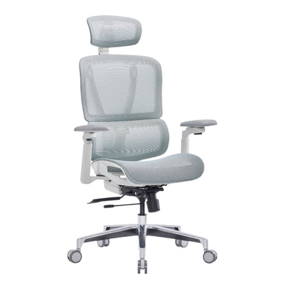 Ergoworks Office Chairs Mint Blue / White Truly Airflex Chair Ergoworks