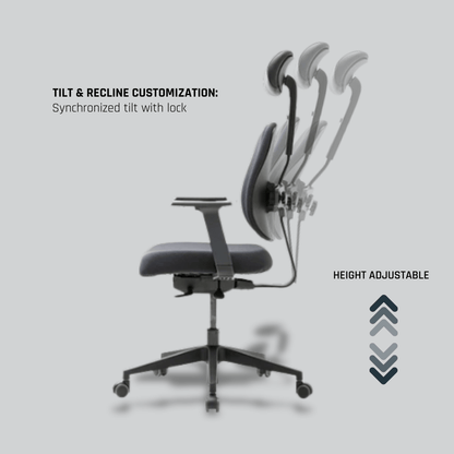 DUOREST Office Chairs [Special Promo] Gold Renewal Ergonomic Chair Ergoworks