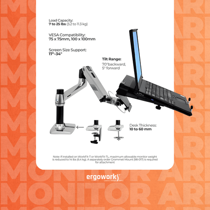 ERGOTRON Monitor Arm LX Desk Mount Monitor Arm (polished aluminum) Ergoworks