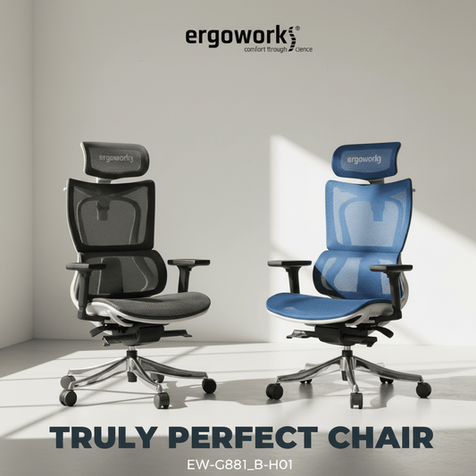 Ergoworks Office Chairs Truly Perfect Chair V2 Ergoworks