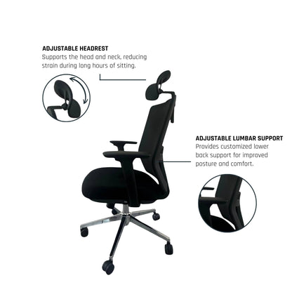 Truly One Chair