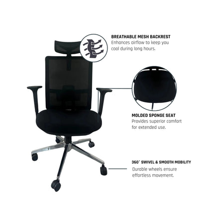 Truly One Chair